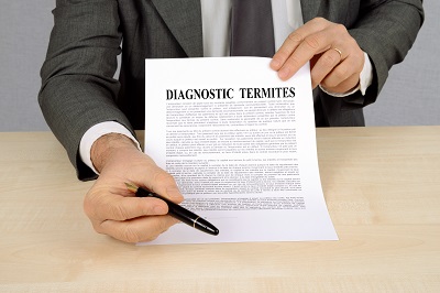 Diagnostic termites : l’acheteur doit être attentif aux conclusions du diagnostiqueur