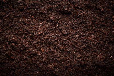 DPE des sols : de l’importance de sensibiliser à l’objectif « zéro artificialisation des sols »